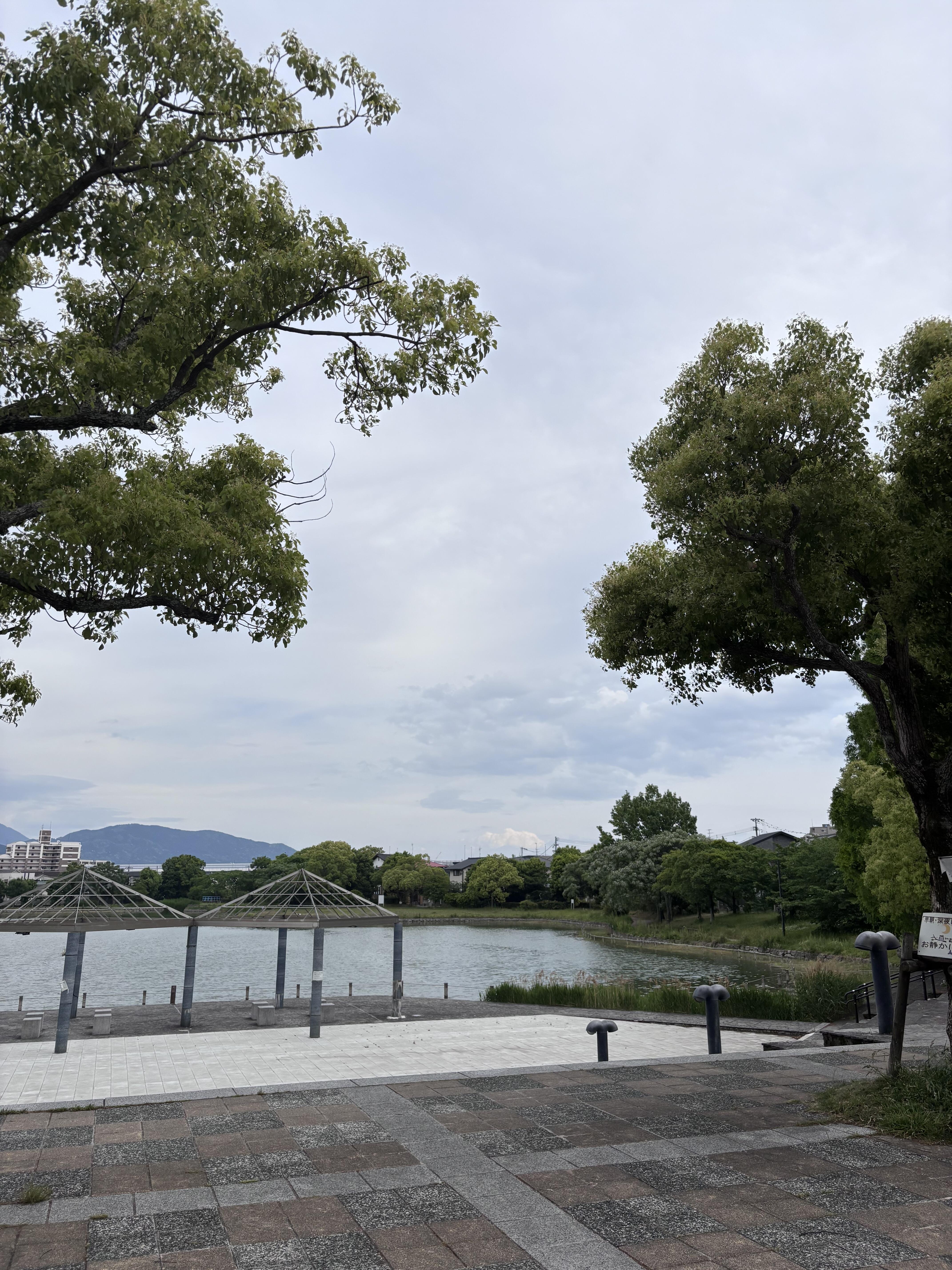 写真⑥IMG_9753.jpg